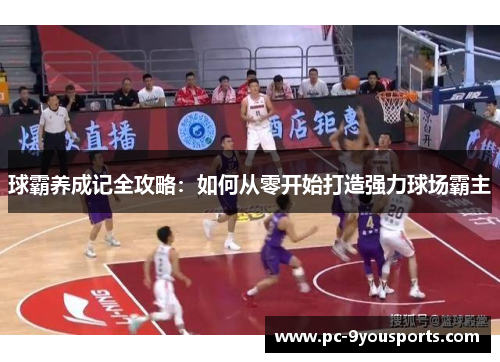 球霸养成记全攻略：如何从零开始打造强力球场霸主