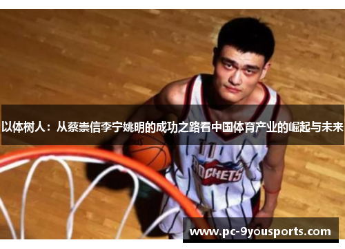 以体树人：从蔡崇信李宁姚明的成功之路看中国体育产业的崛起与未来